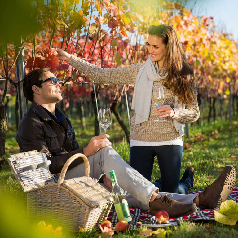 Pärchen machen Picknick im Weingarten